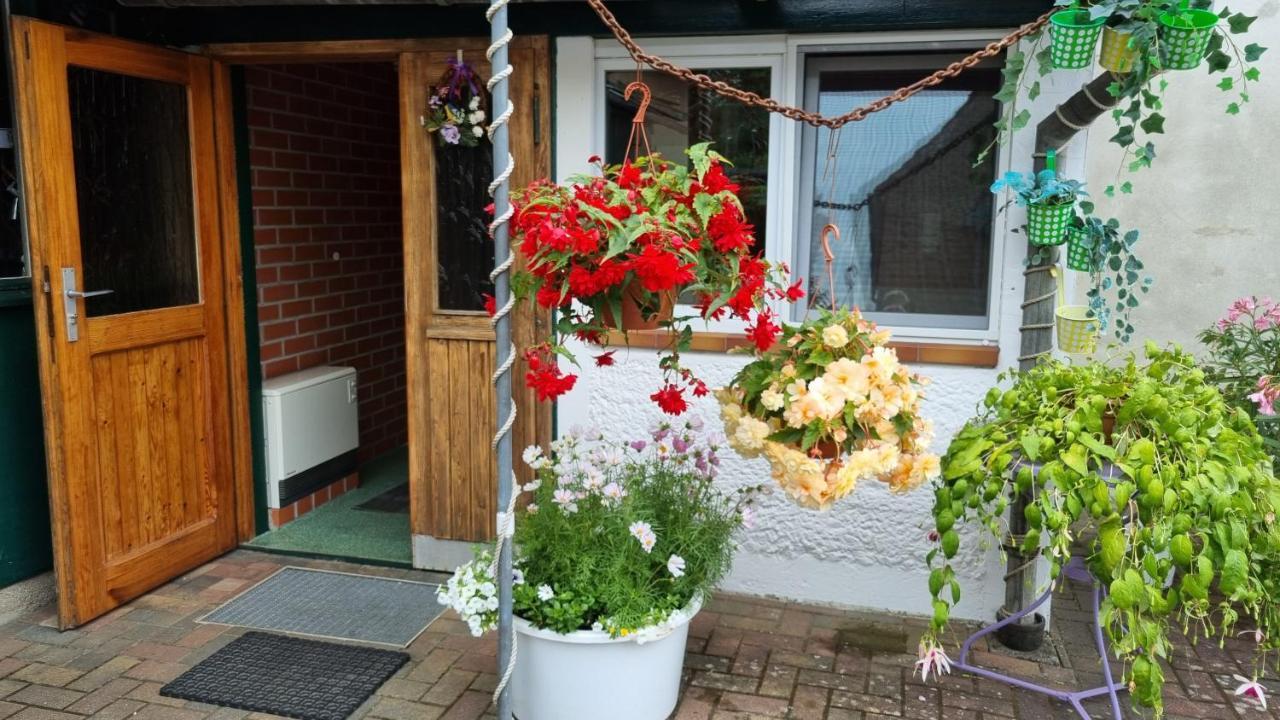 Appartamento Schorfheide Krueger Joachimsthal