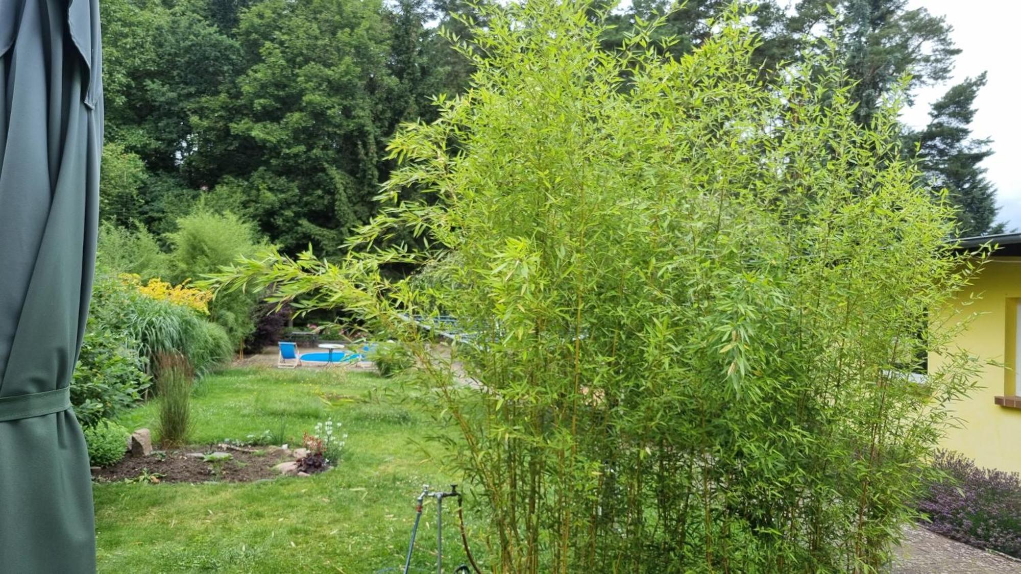 Appartamento Schorfheide Krueger *